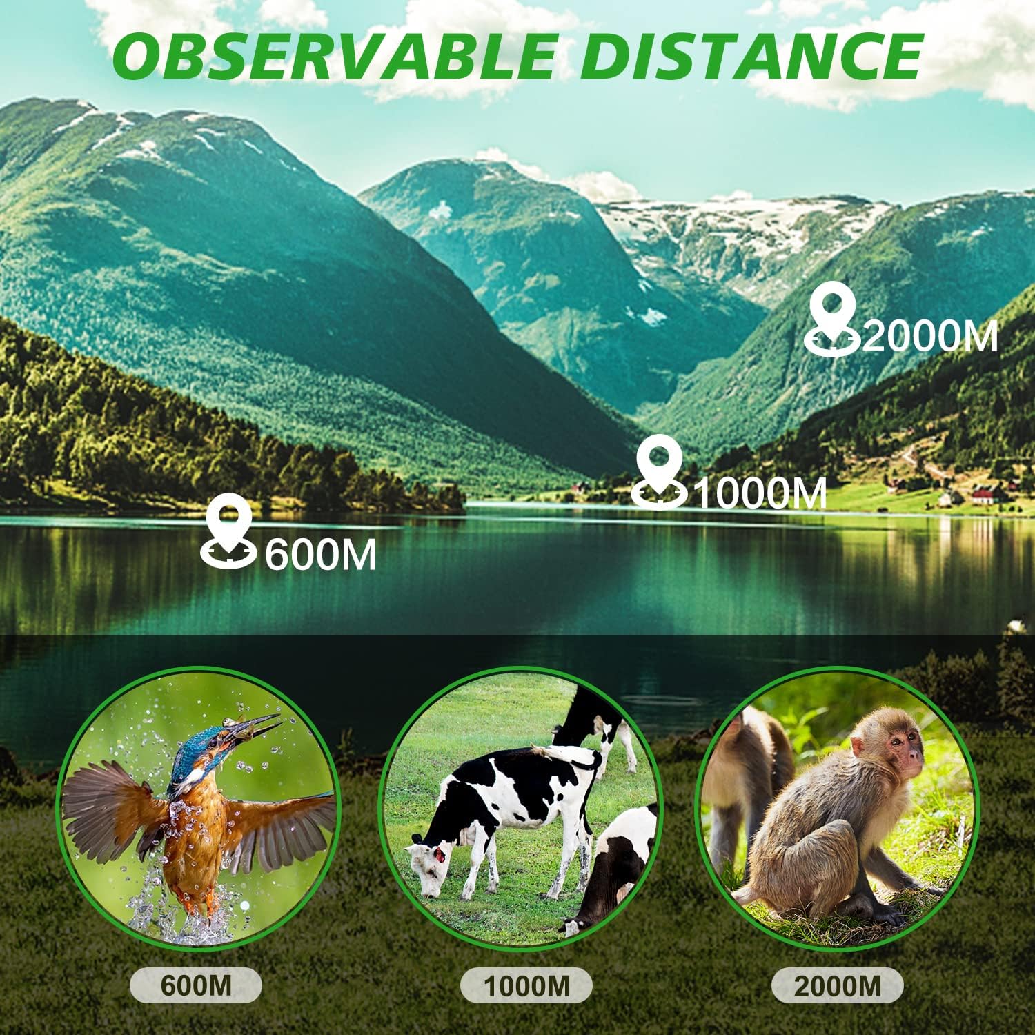 Monocular HD de 16 x 52 para adultos, FMC – Telescopio monocular compacto de mano para observación de aves, vida silvestre, concierto, alcance de