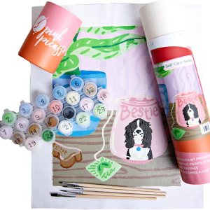 Pink Picasso Kits de colección de cuidado personal de pintura por números para adolescentes, preadolescentes, adultos y principiantes Kit de Pink Picasso Kits de colección de cuidado personal de pintura por números para adolescentes, preadolescentes, adultos y principiantes Kit de
