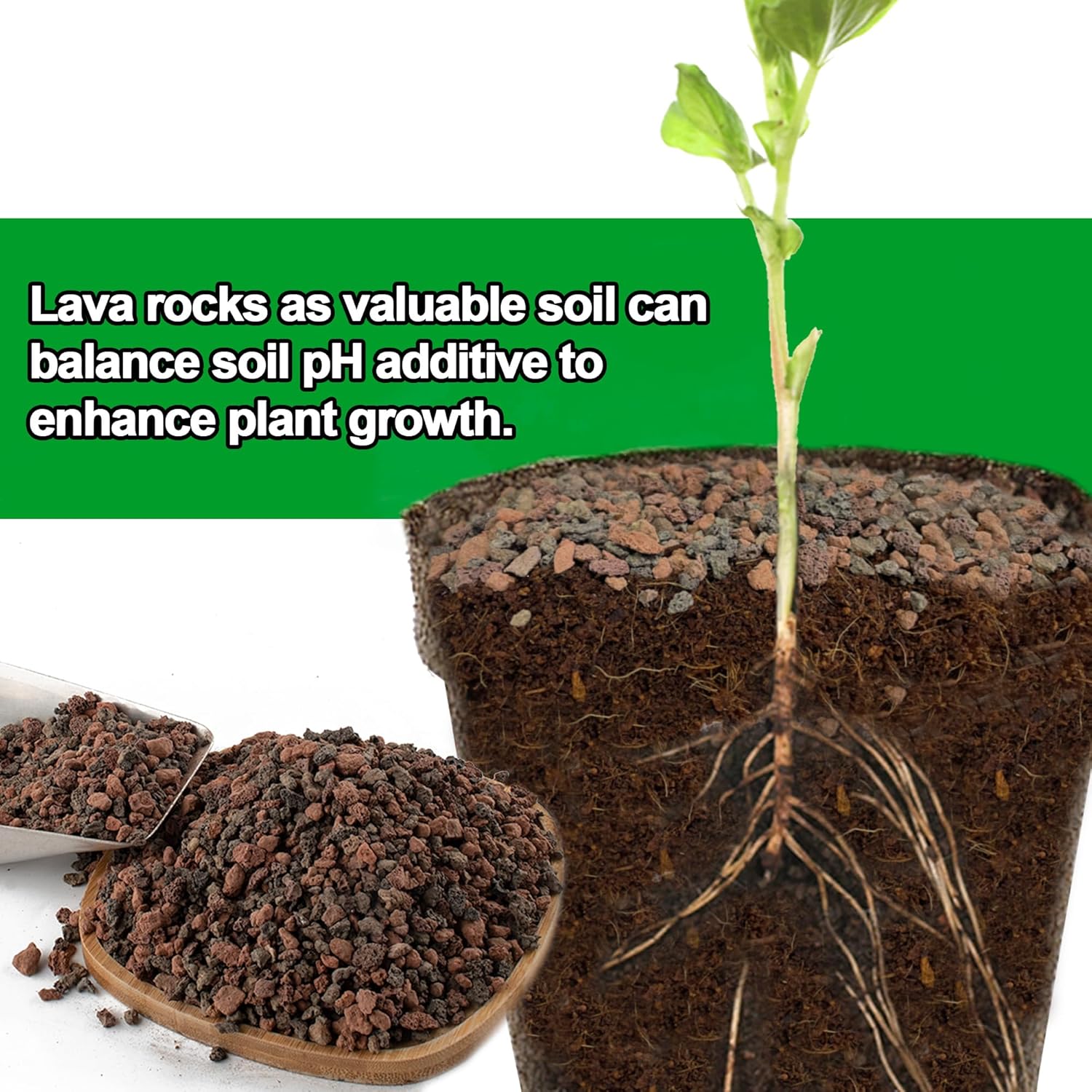 Mezcla de rocas de lava de 3 libras para plantas, para horticultura, roca volcánica, grava para paisajismo, drenaje, suculentas, bonsái, rellenos de