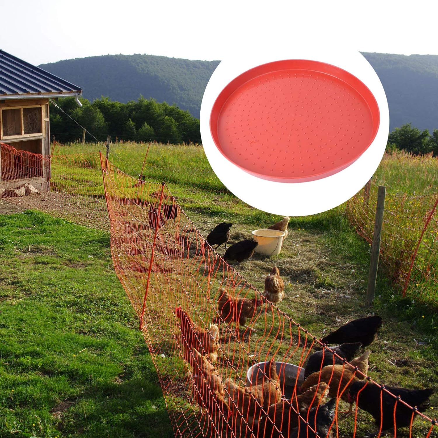 Happyyami Alimentador de aves de corral Bandeja de alimentación de alimentos Bebedor de agua Placas de alimentación Contenedor para Pollo Ganso