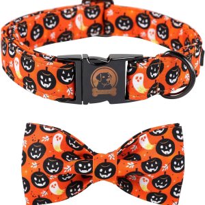 Collar de perro de Halloween con lazo MR. CHUBBYFACE – Collar con diseño de calabaza y fantasma con corbatín para cachorros, perros pequeños, Collar de perro de Halloween con lazo MR. CHUBBYFACE – Collar con diseño de calabaza y fantasma con corbatín para cachorros, perros pequeños,