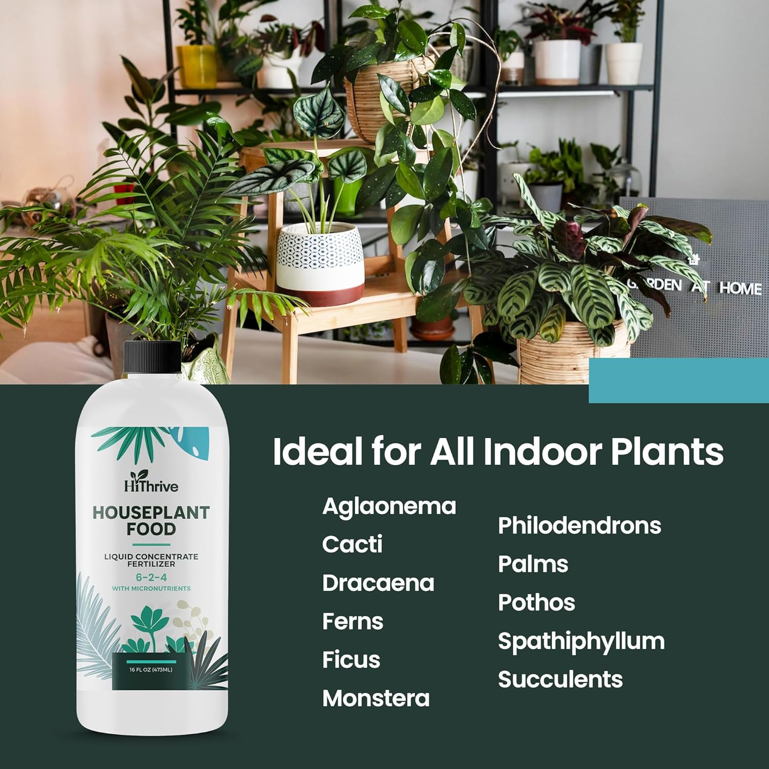Alimento para plantas de interior, alimento multiusos para plantas de interior, fertilizante para plantas de interior para higueras de hoja de