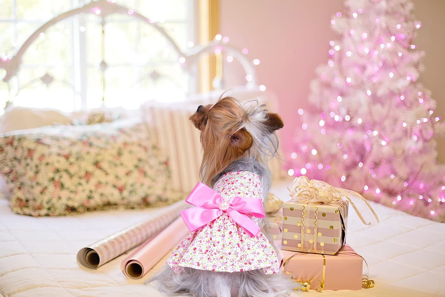Vestido veraniego de estampado floral y moño para gatas o perritas pequeñas