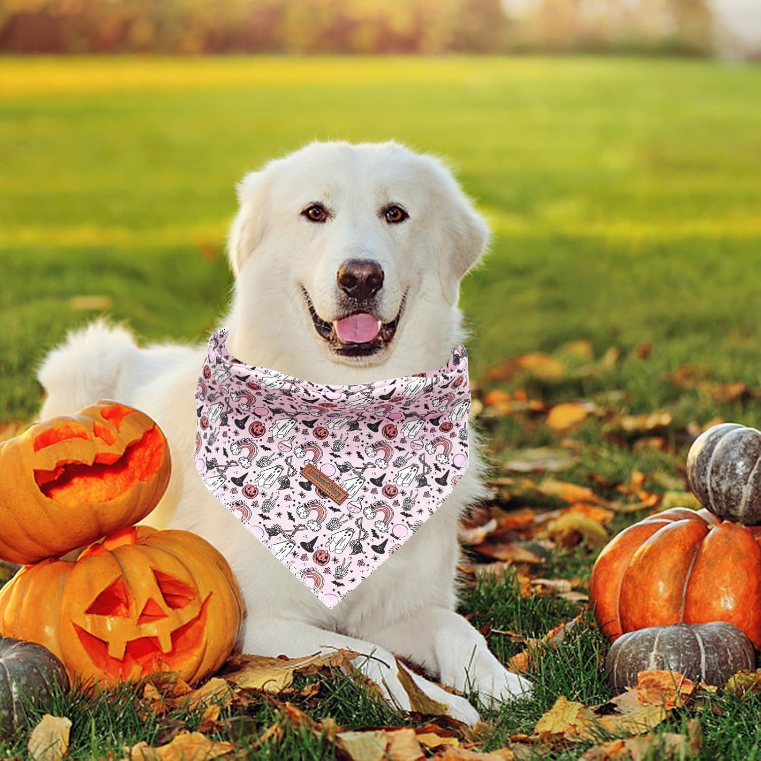 Lionheart glory Bandana para perro de Halloween, 1 paquete de bufanda lavable suave para perro, bufanda de otoño para niños y niñas, bandana