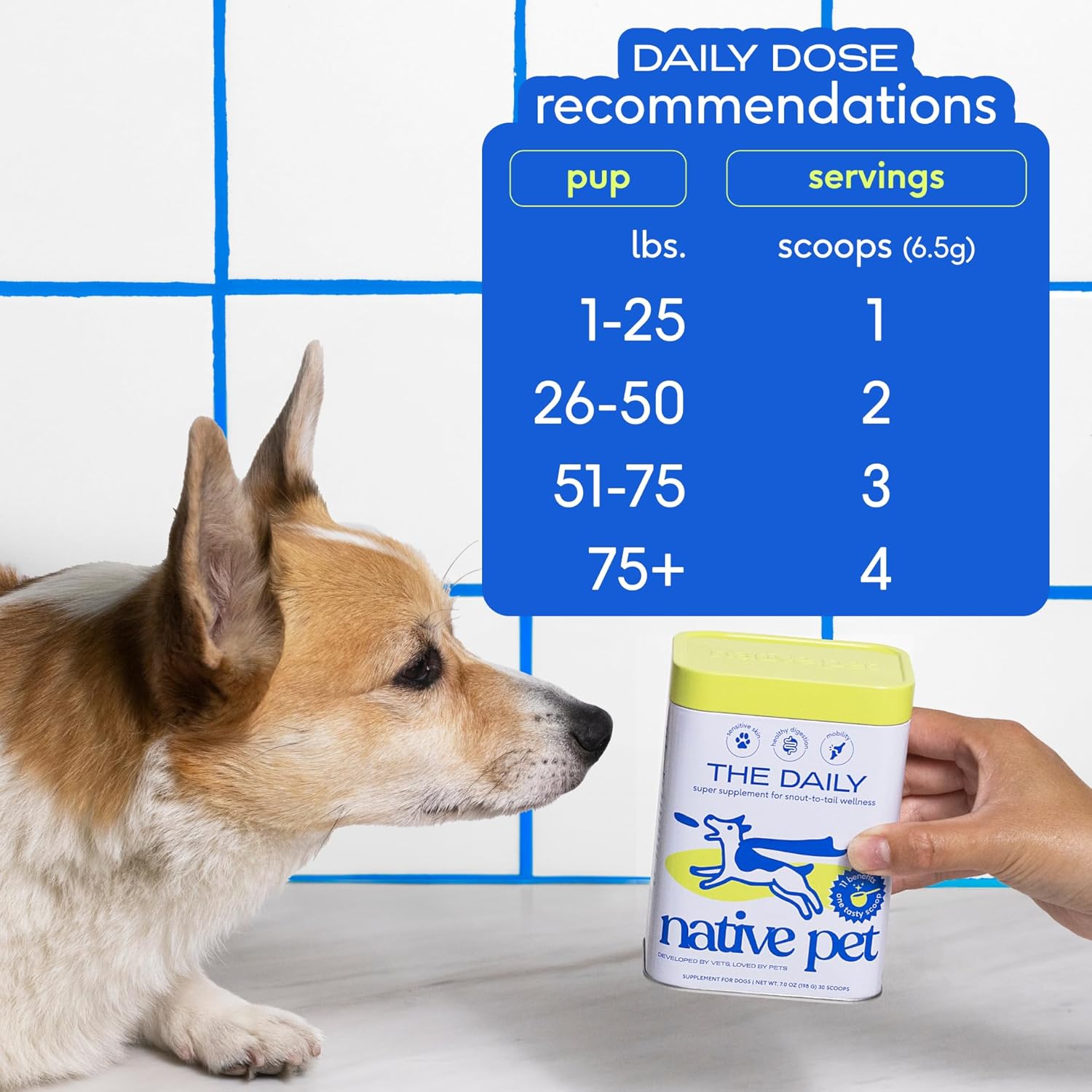 Native Pet The Daily Dog Supplement  Multivitamínico 11 en 1 para perros  Cuchara sabrosa con vitaminas y suplementos para perros  Super Multi