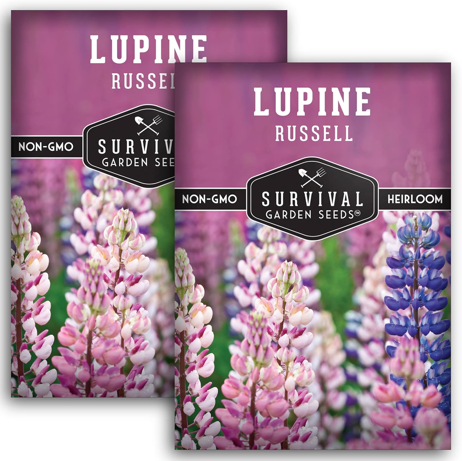 Survival Garden Seeds – Semillas de altramuz Russell para plantar – 2 paquetes con instrucciones para plantar y cultivar flores silvestres al aire