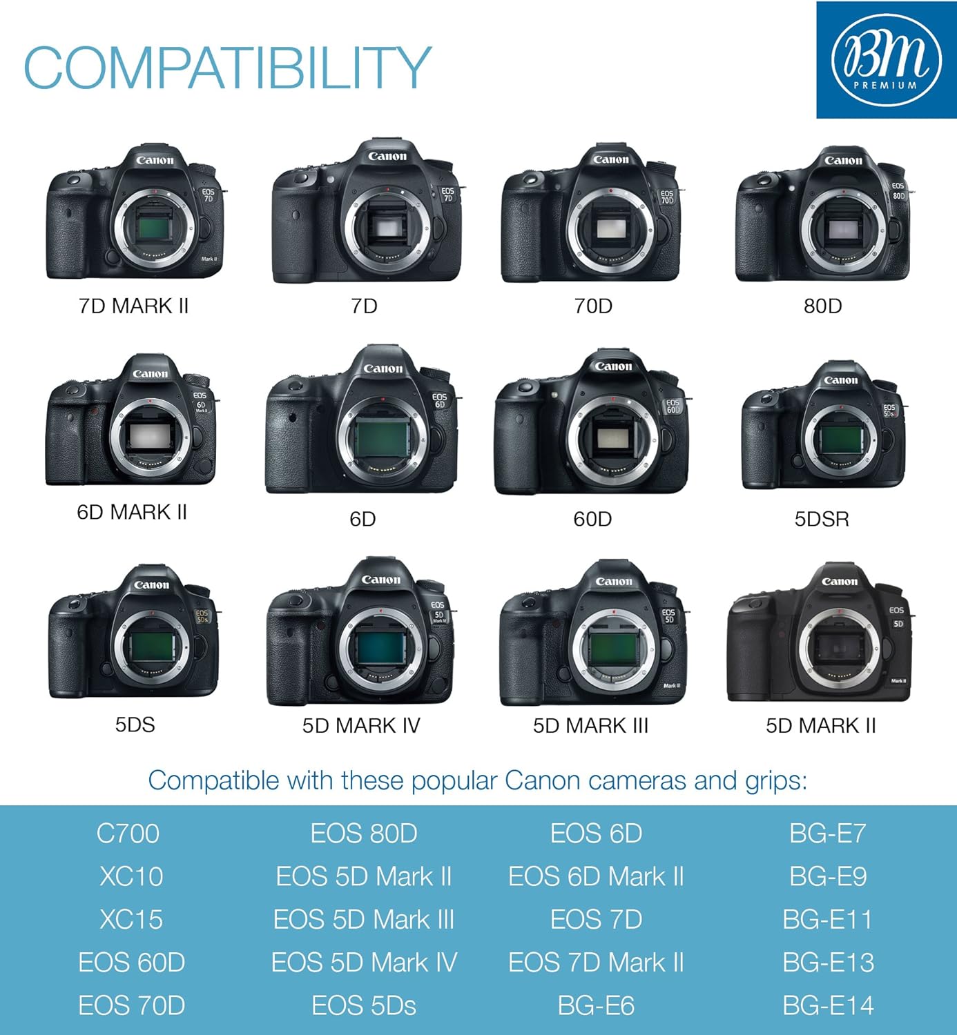 BM Premium Paquete de 4 baterías LP-E6N de alta capacidad y cargador para cámaras Canon EOS R, EOS 60D, EOS 70D, EOS 80D, EOS 90D, EOS 5D III, EOS