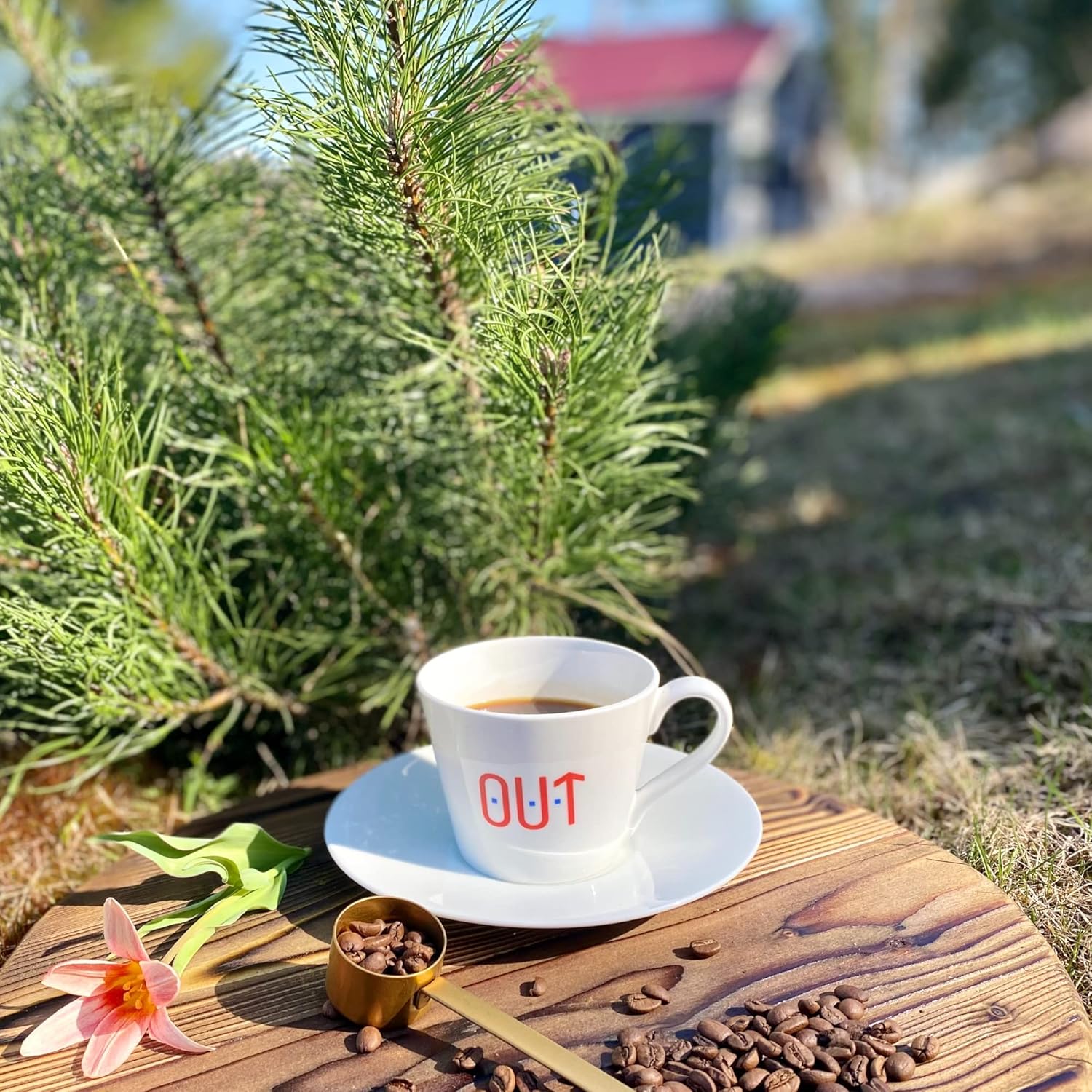 Uganda Coffee – Café orgánico de grano entero bajo en ácido, tostado medio gourmet, café 100% arábica de comercio directo, 2 libras