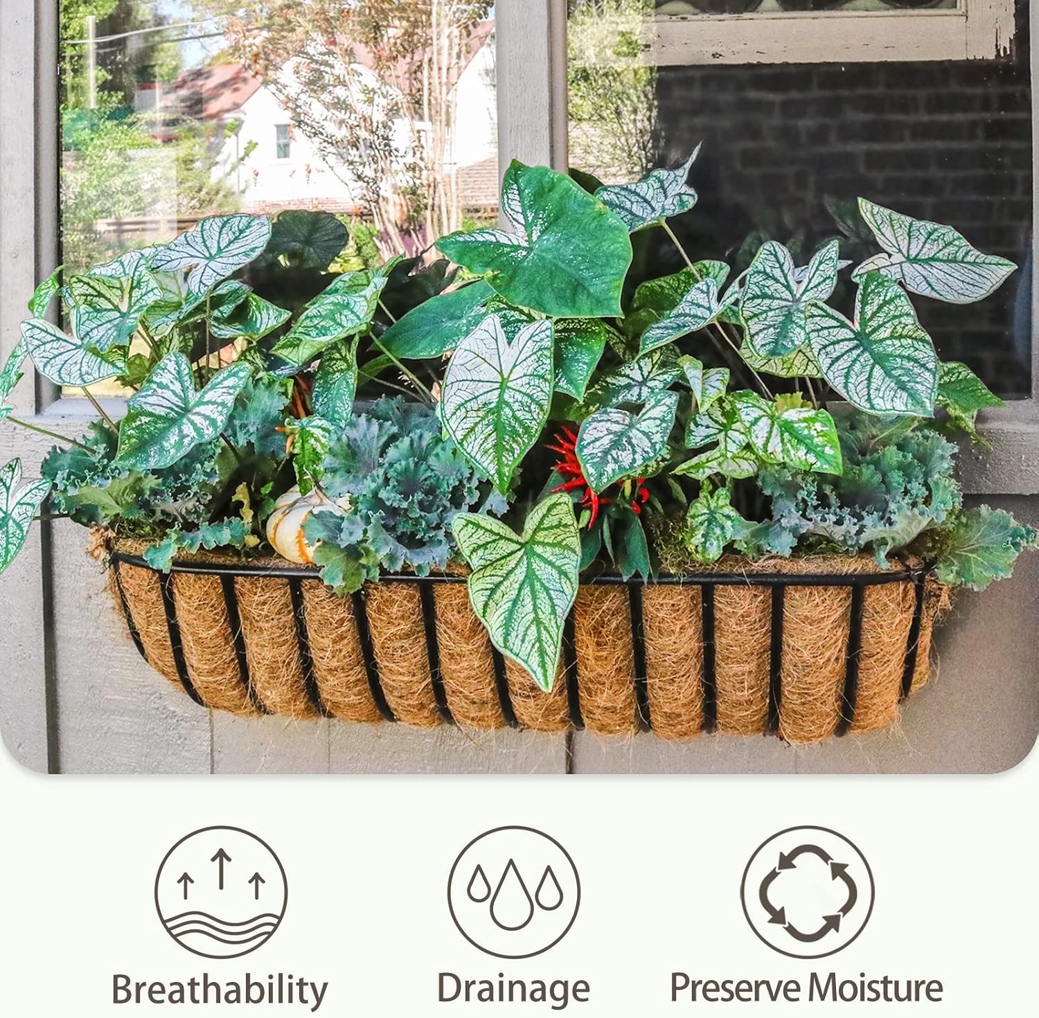 4 forros de coco para macetas de 36 pulgadas, revestimientos resistentes para ventanas, reemplazo perfecto para los viejos, 100% natural, fácil de