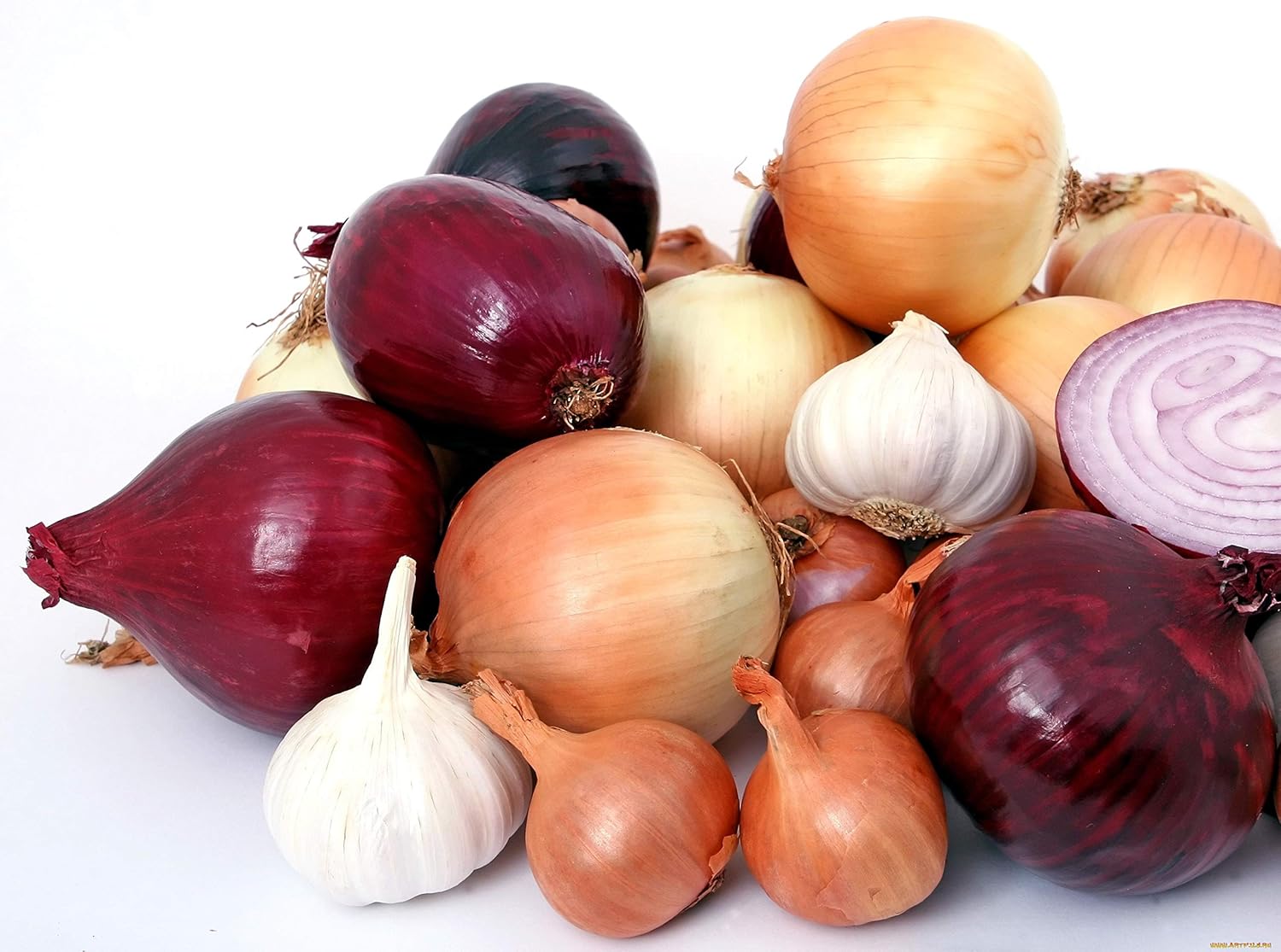 Cebolla Vegetal Rainbow Mix Neutral – 500 Semillas