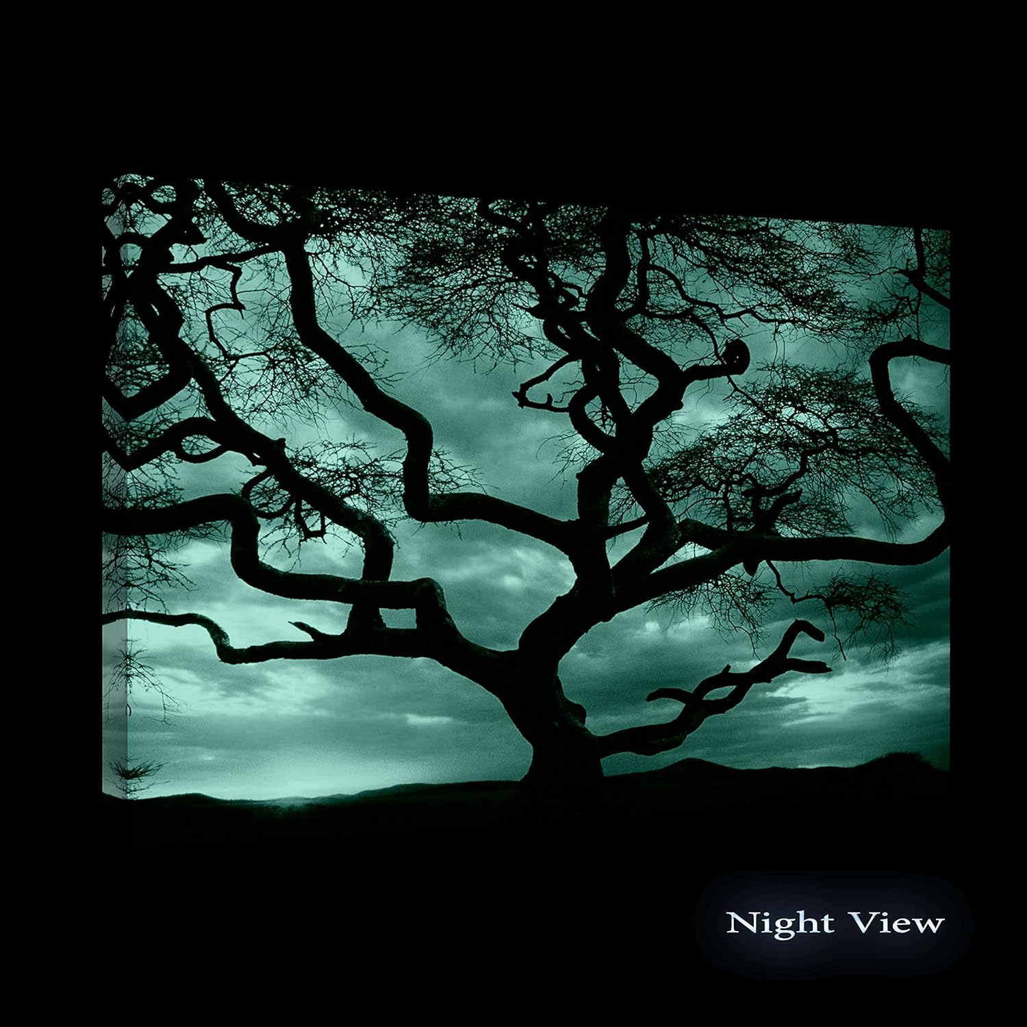 Startonight Lienzo decorativo para pared, increíble puesta de sol detrás del árbol, imagen de paisaje natural de árboles para sala de estar,