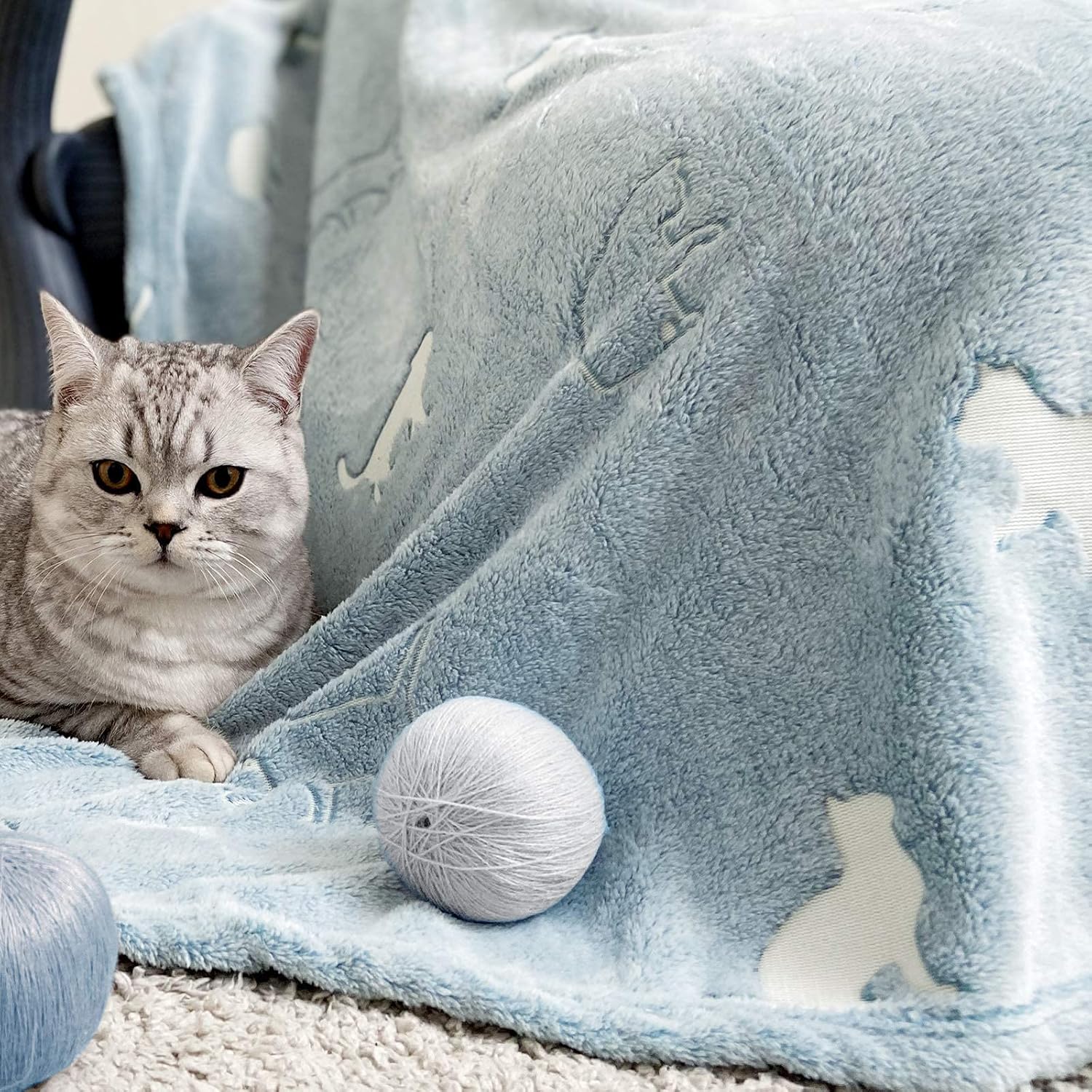 jinchan Manta que brilla en la oscuridad, con patrón de gato de 40 x 60 pulgadas, manta de forro polar suave para decoración de sofá, cama,