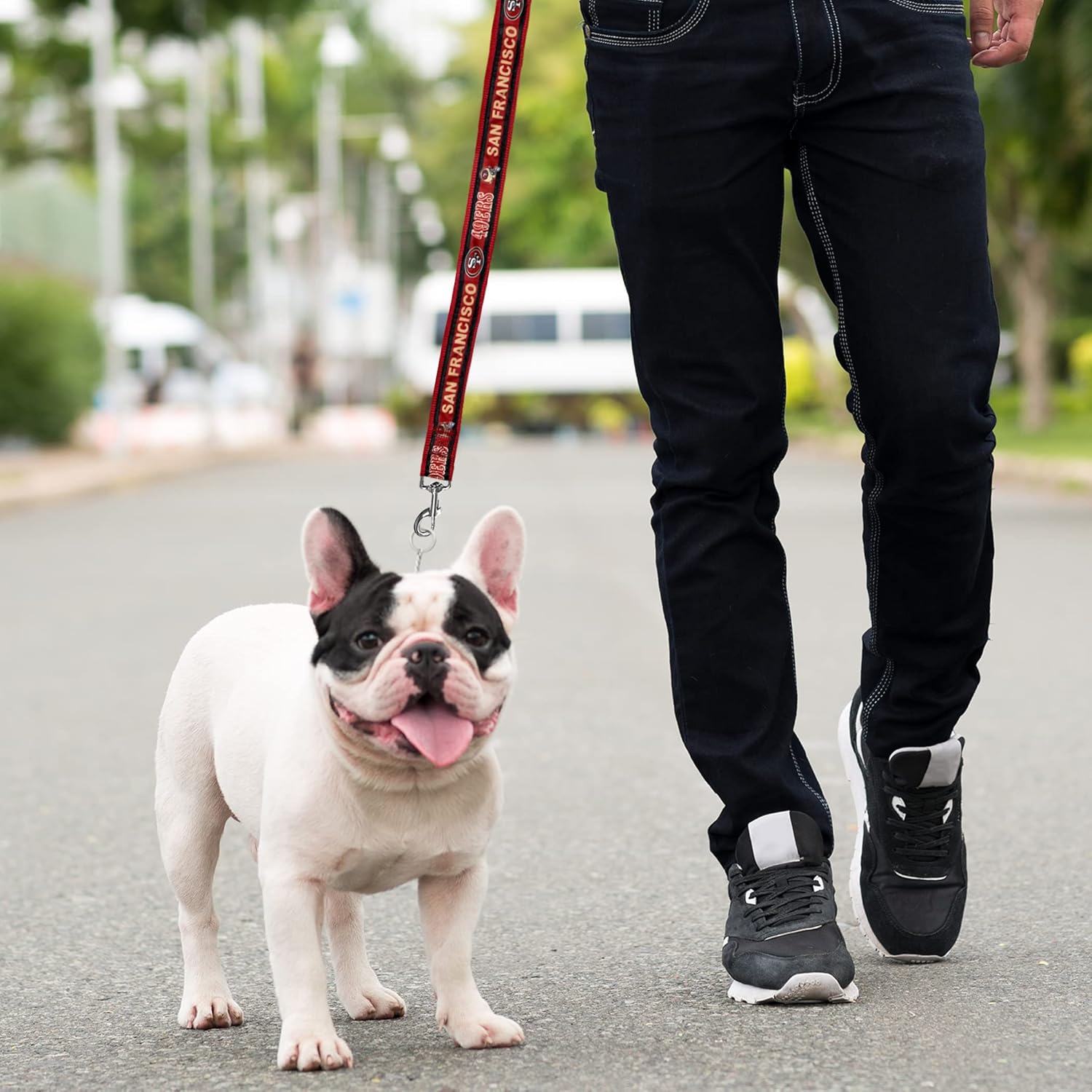 NFL Pet Strap San Francisco 49ers – Correa para perro, correa mediana del equipo de fútbol para perros y gatos. Una correa brillante y colorida para