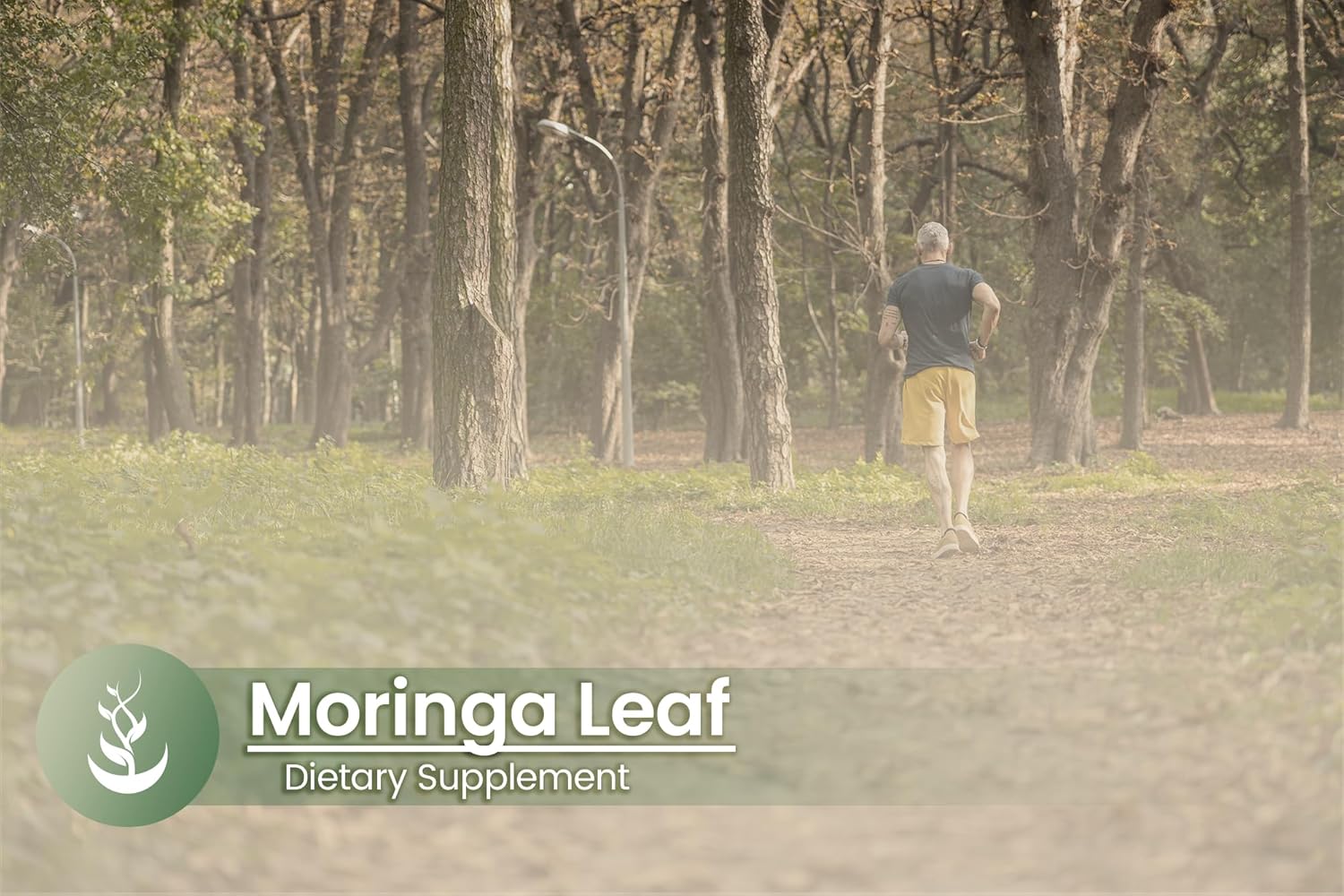 Pure Original Ingredients Moringa oleifera (100 cápsulas), siempre pura, sin aditivos ni rellenos, verificado en laboratorio