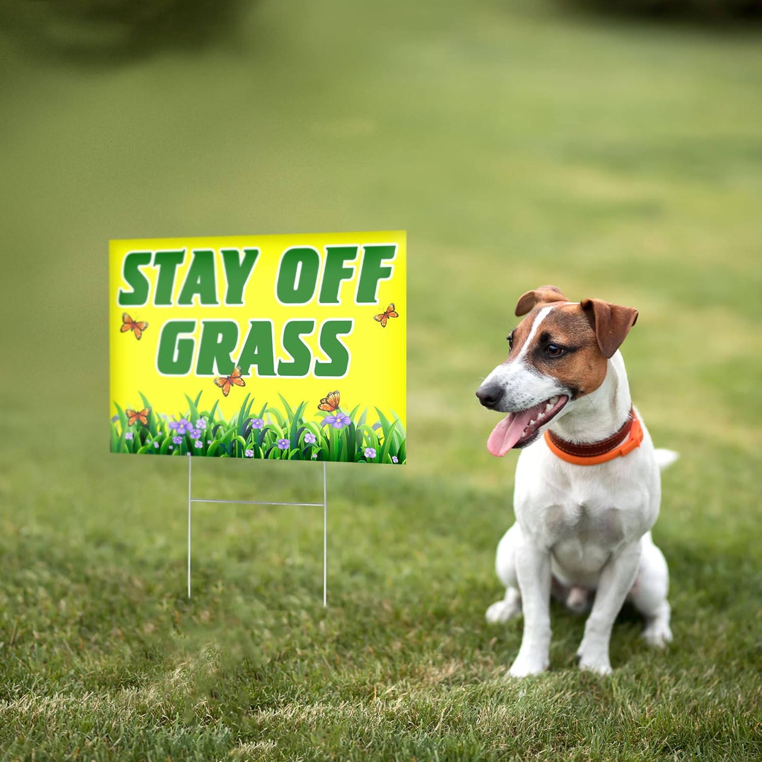 2 carteles de Stay Off Grass For Yard de 8 x 12 pulgadas de doble cara con texto en inglés Keep Off Gras, letrero de Please Keep Off Gras, letreros