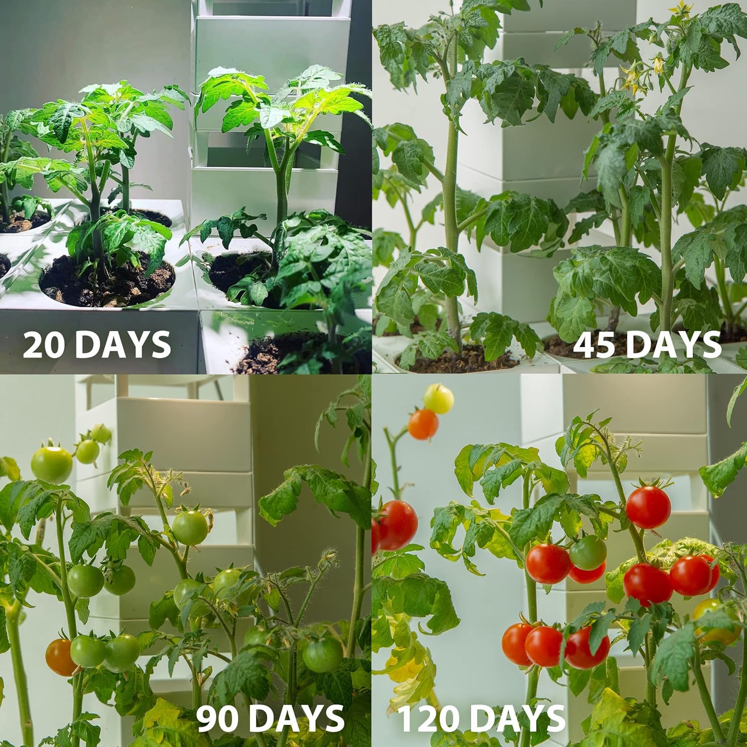 LeGrow Jardín interior con luces de crecimiento, temporizador automático de 12 horas, 8 macetas de riego automático con 7 días sin riego, jardín de