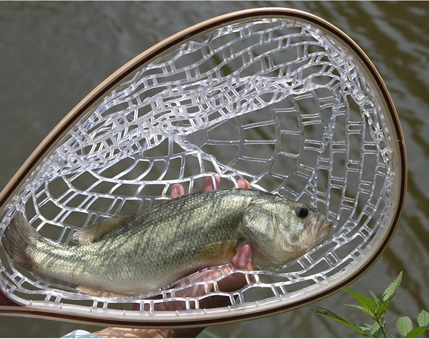 Fashionwu Red de pesca con mosca, red de pesca para truchas, goma suave para atrapar y liberar con marco de mango de madera, regalos para él