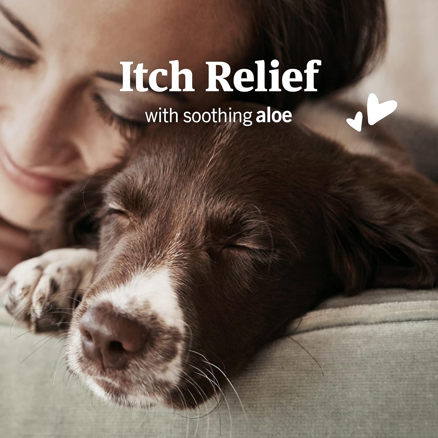 PetArmor Tratamiento de ácaros del oído para perros, el medicamento para los ácaros del oído mata las garrapatas y los ácaros del oído para aliviar