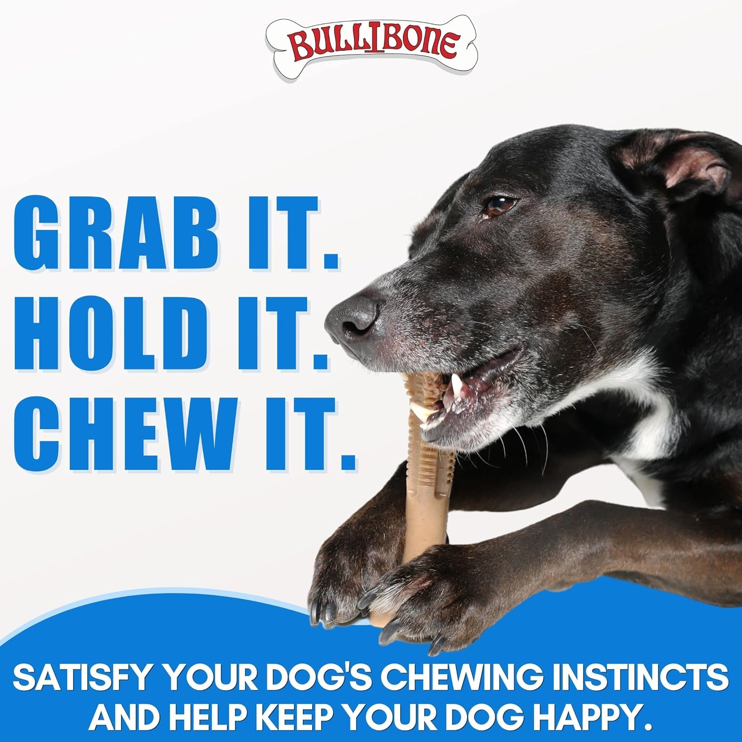 Bullibone SuperBrush cepillo de dientes para limpieza de dientes de perro, juguete masticable de nailon de larga duración para cuidado bucal y salud