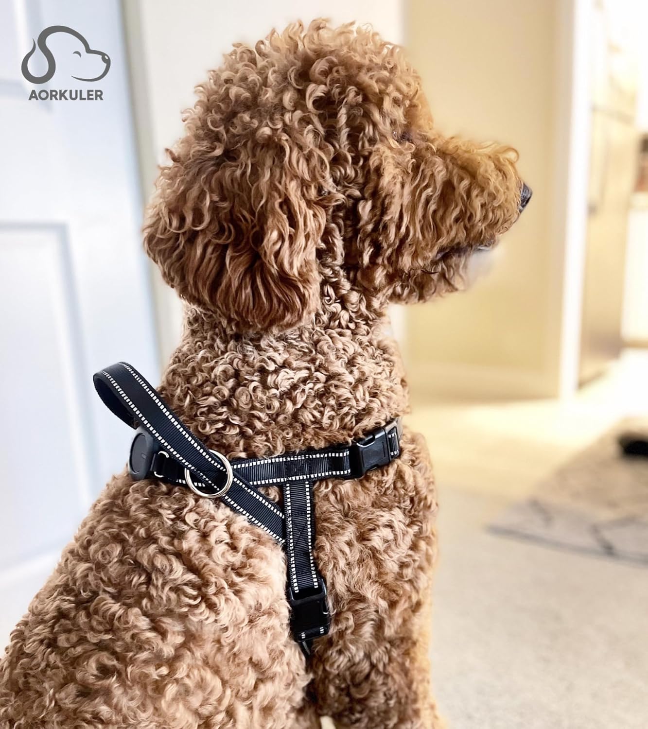 Arnés para perro sin tirones, fácil para entrenar y caminar, adecuado para rastreador GPS Aorkuler Dog