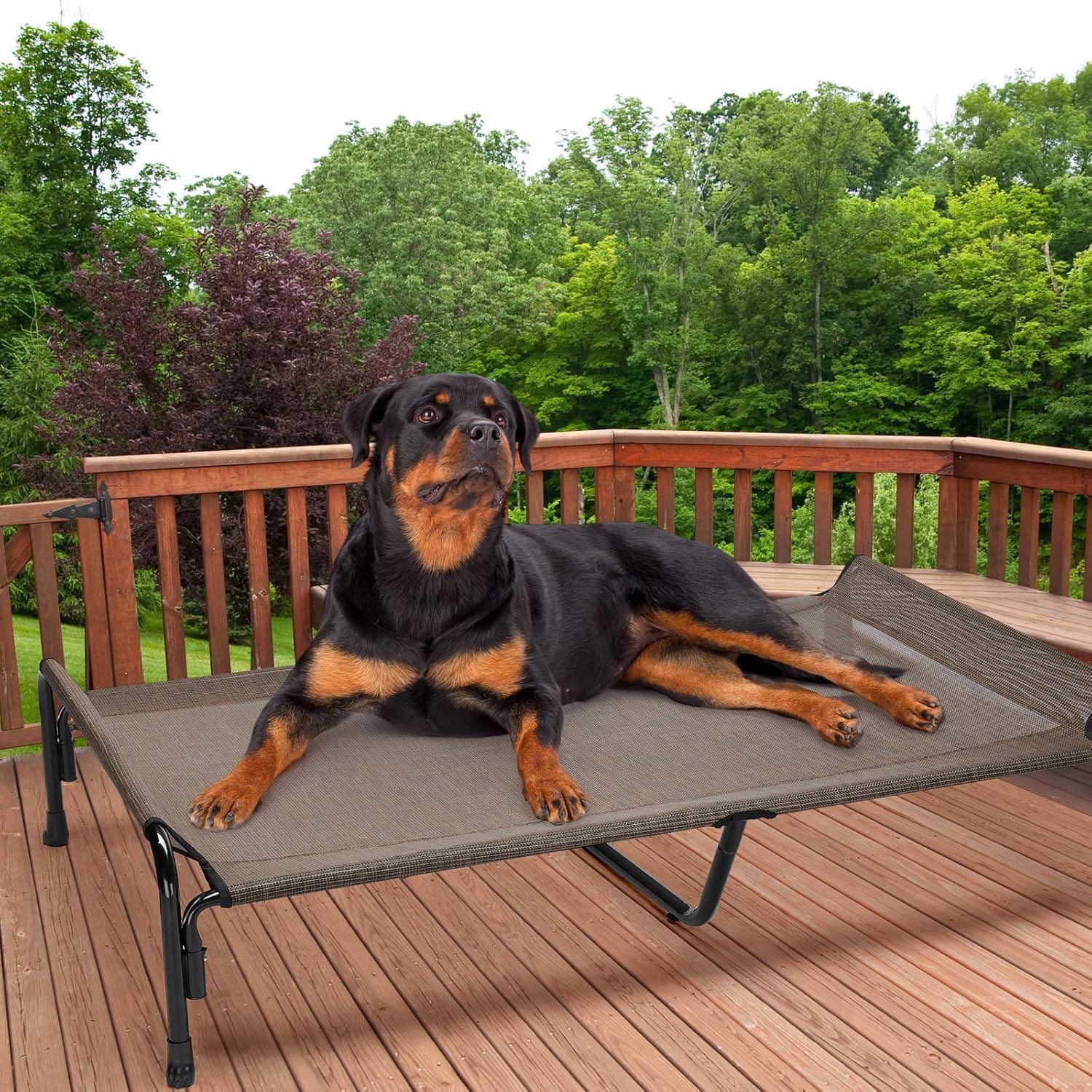 Veehoo CWC2204 – Cama elevada para perros grandes, cama elevada para mascotas con reposacabezas inclinado para interiores y exteriores, lavable,