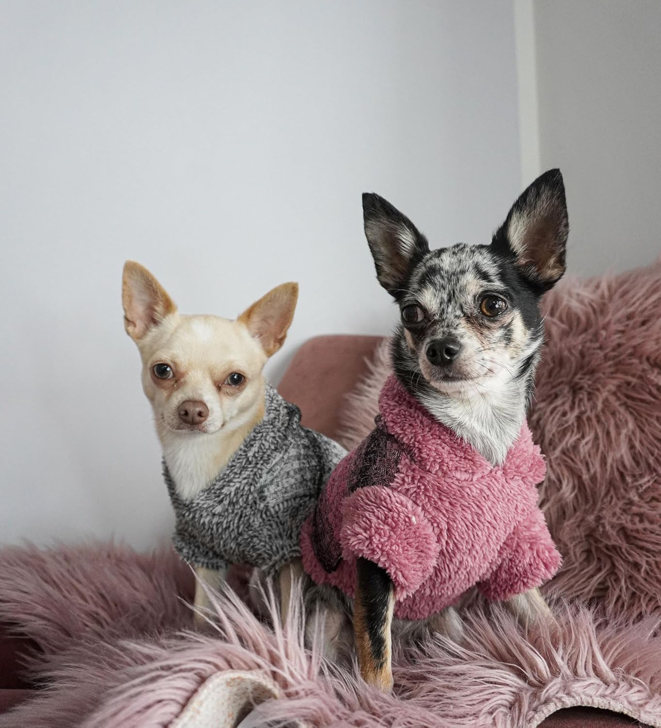 Fitwarm Suéter mullido para perro, ropa de invierno de punto para perros pequeños, niños y niñas, atuendo con capucha para gatos y mascotas, gris