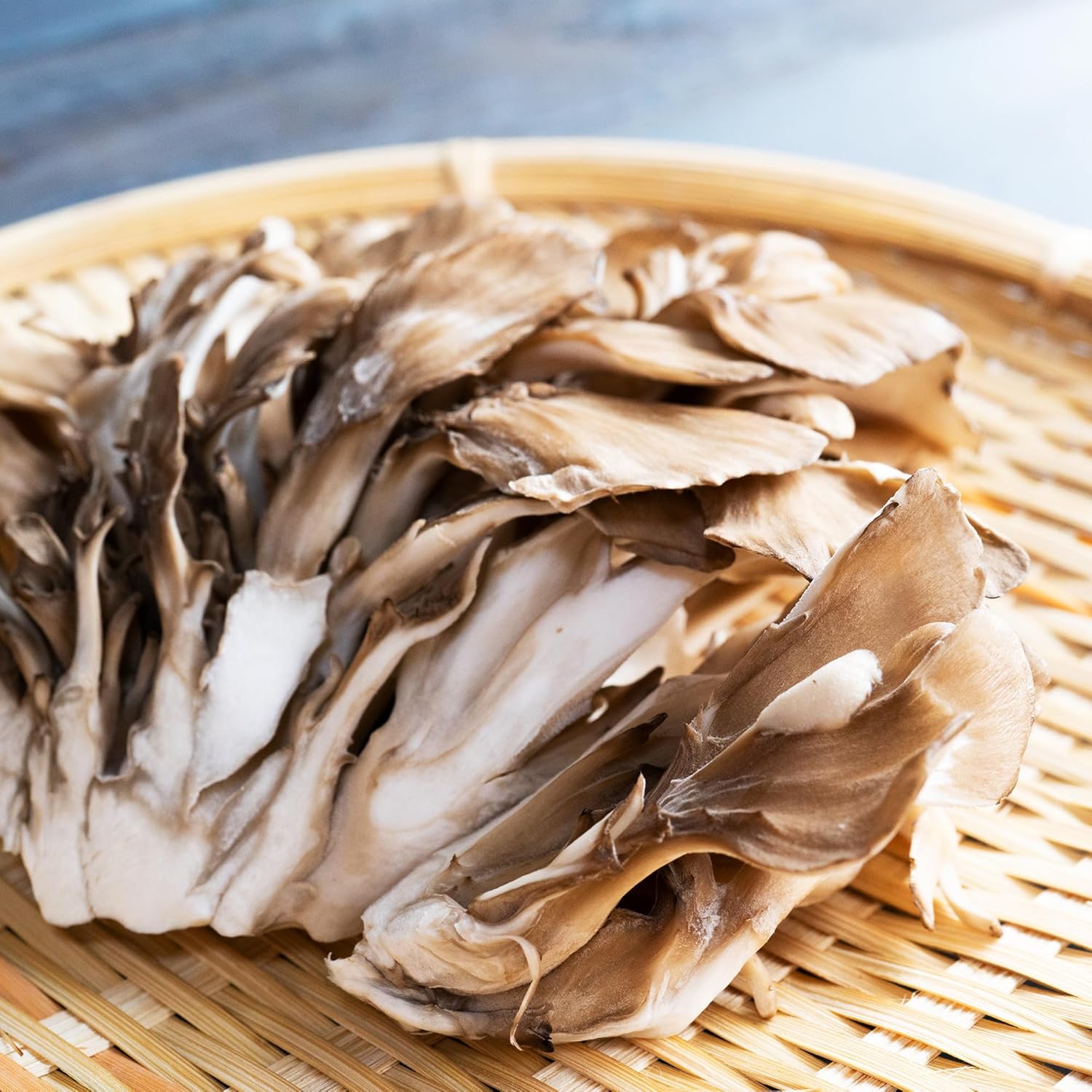 Pure Original Ingredients Maitake – Polvo de hongos (1 libra) de gallina del bosque, sin OMG, verificado en laboratorio.