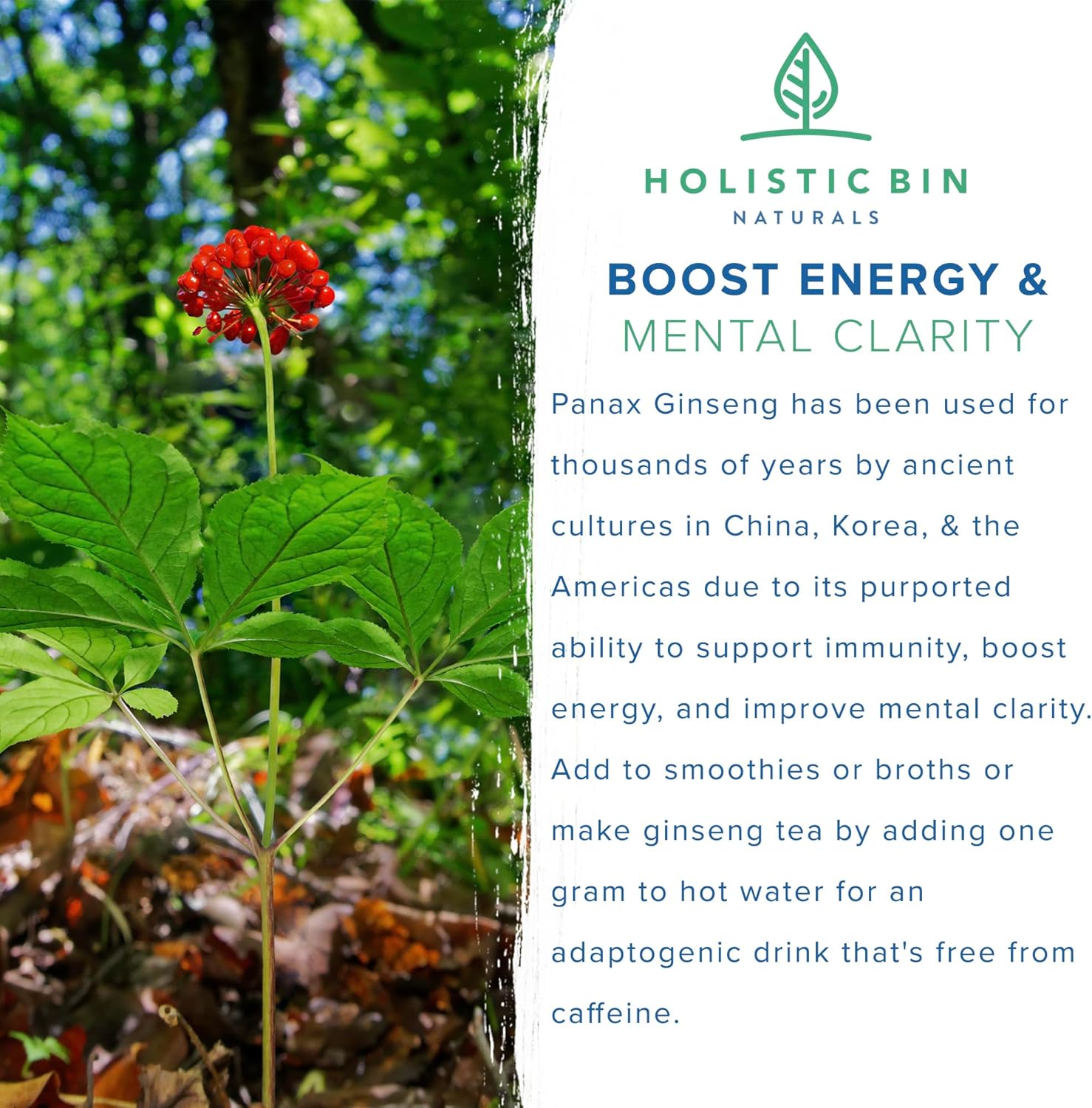 Suplemento de ginseng rojo coreano puro en polvo de Panax Ginseng  Vegano, sin gluten, sin OMG, sin rellenos, rico en ginsenósidos (1.76 oz)