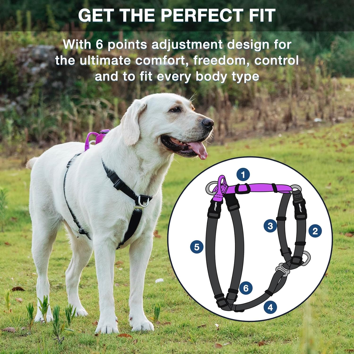 Arnés para perro fácil de caminar y entrenar, sin tirones, arnés no restrictivo con hebilla para el cuello, correas de nailon, anillos en D de
