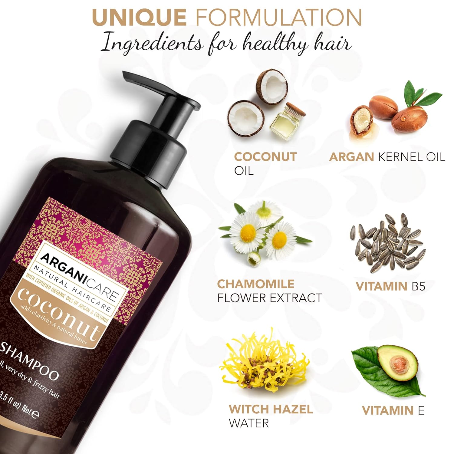 arganicare Hidratante Coco Champú con certificado Argán y Aceites de coco para Dull, muy seco y Frizzy 13,5Cabello FL oz
