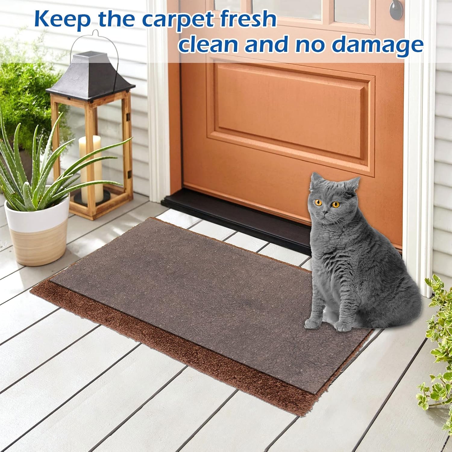 Protector de alfombra para mascotas, protector transparente antideslizante para gatos y perros para puerta, evita que las alfombras se rayen en la