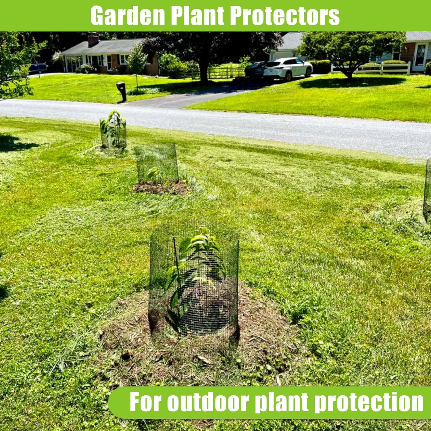1 juego de 10 protectores de alambre para plantas de 11.8 x 11.8 pulgadas, protectores cuadrados para plantas de animales, jaula de malla para