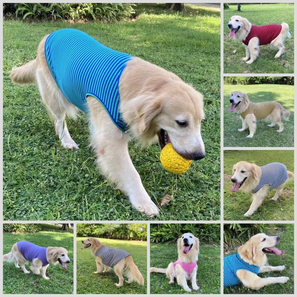 Camisas de algodón a rayas, chaleco básico transpirable para cachorros y gatos, súper suave, elástica, camiseta sin mangas, moda y bonito color para