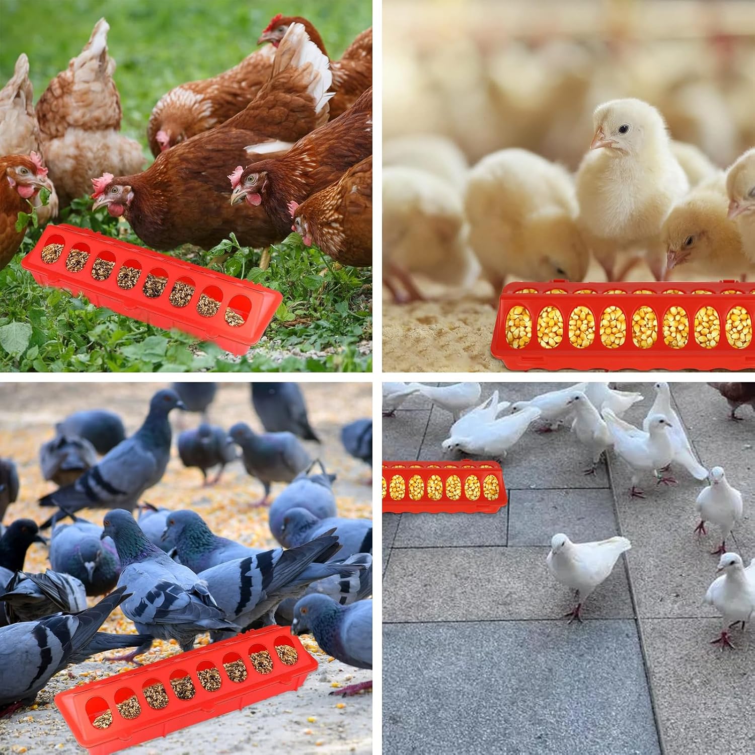 LANIAKEA Comedero para pollos, 10 unidades, comedero de aves de corral abatible, comedero de plástico para pollos sin ensuciar, sin desperdicios,
