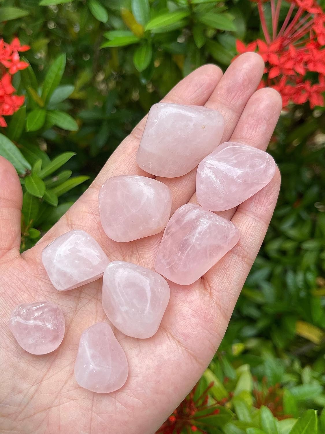 GAF TREASURES Piedras pulidas de 12 libra, piedra preciosa pulida, piedras pulidas, cristales caídos, piedras para Wicca, Reiki, terapia, meditación