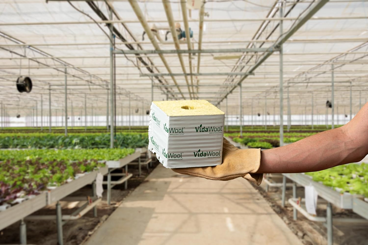 VidaWool Bloques de 6 pulgadas, sistema de cultivo hidropónico, cubos de cultivo para principiantes de plantas, vainas hidropónicas, suministros de