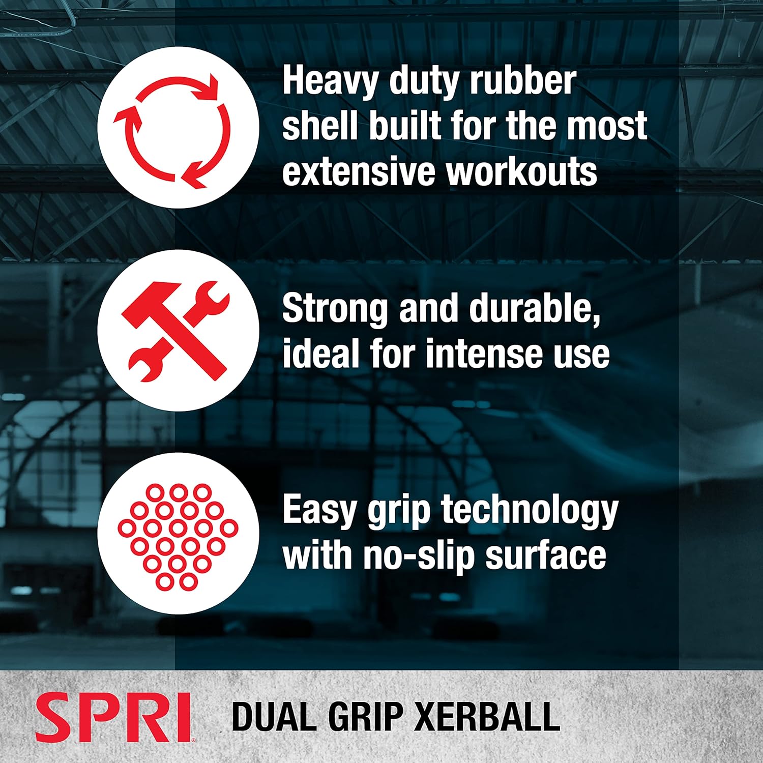 SPRI Weighted Ball for Exercise