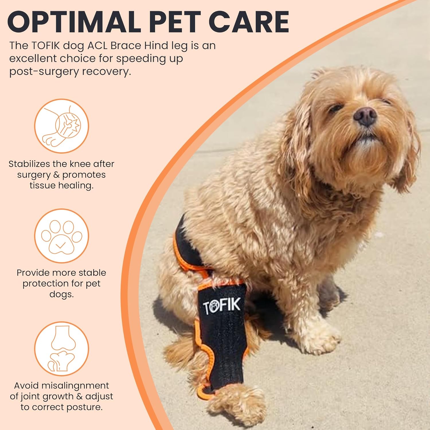 Rodillera para perro para pierna trasera desgarrada del ACL  Arnés de neopreno premium para perros grandes  Soporte de pierna trasera lavable y