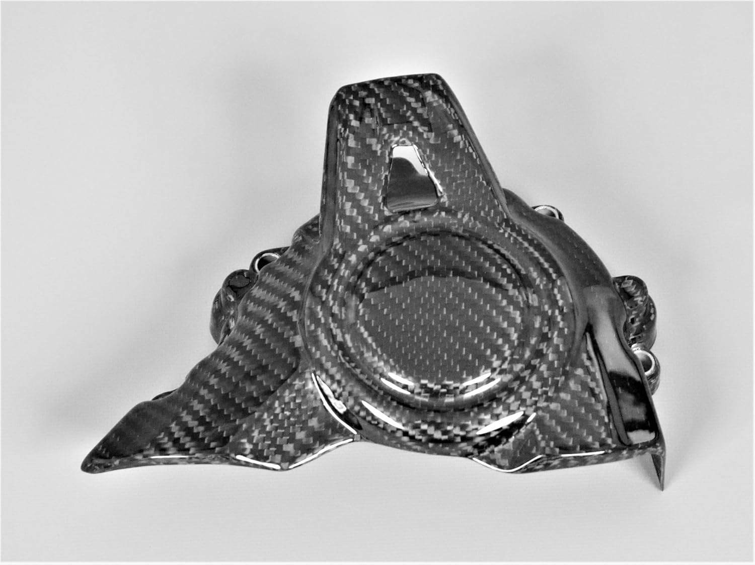 Cubierta de piñón de fibra de carbono para Kawasaki Z900 2017-2023