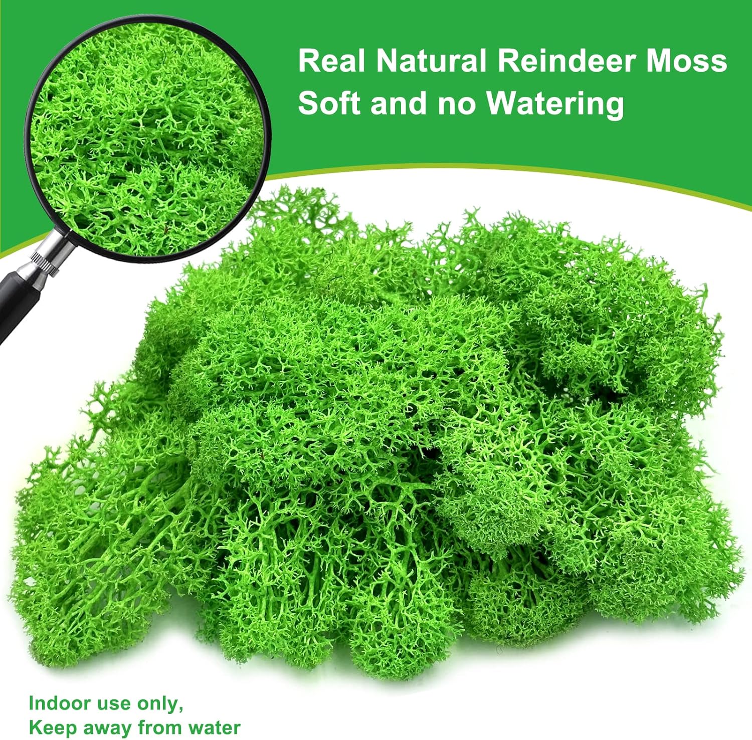 Pextian Musgo verde preservado para manualidades, musgo de reno de 8 onzas para plantas en maceta, musgo artificial decorativo para bodas,