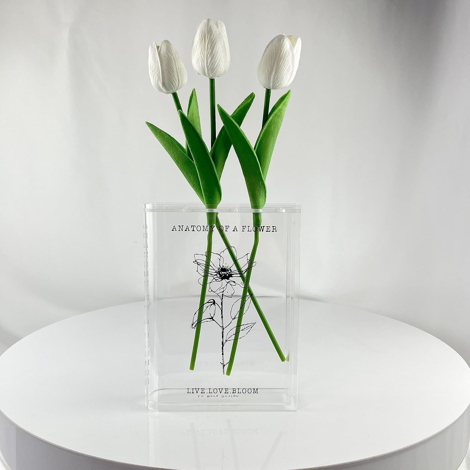 Jarrón transparente para flores, centro de mesa moderno y decorativo para el hogar, anatomía de una flor, Le Marq Design (transparente con tallo,