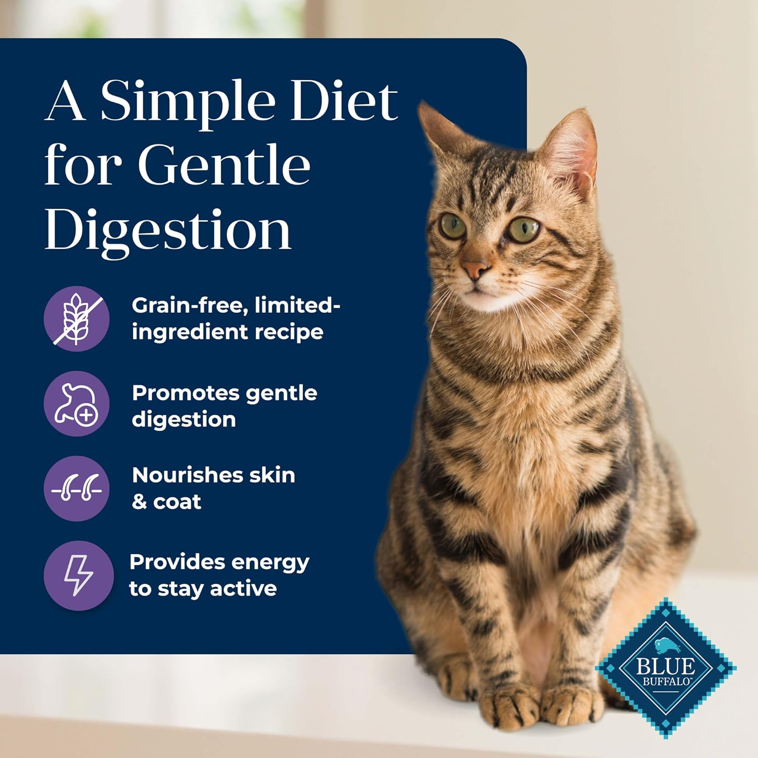 Blue Buffalo Basics – Alimento seco para gatos sin granos, cuidado de la piel y el estómago, dieta de ingredientes limitados para gatos maduros de