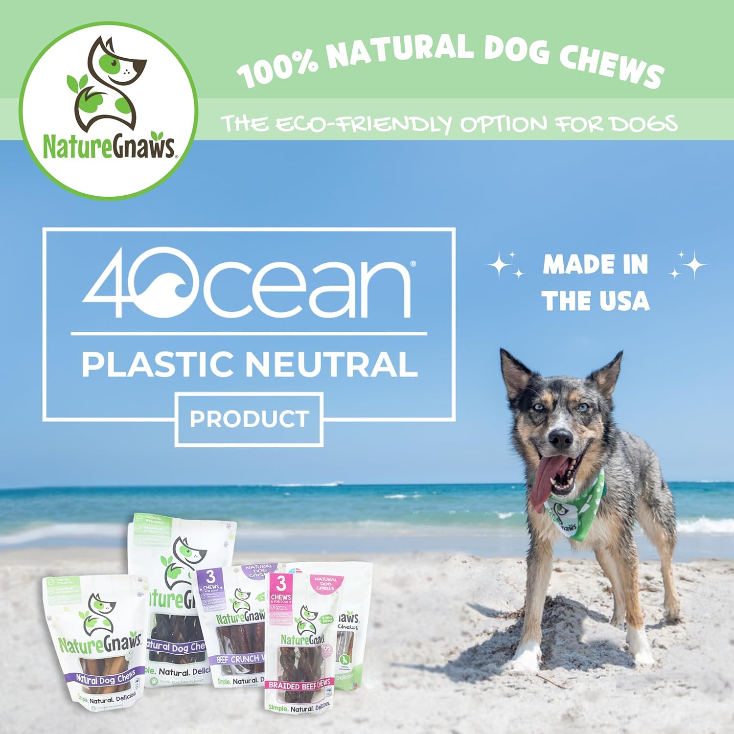 Nature Gnaws – Chips crujientes de Estados Unidos para perros – Golosinas naturales masticables para perros de un solo ingrediente – Fabricado en