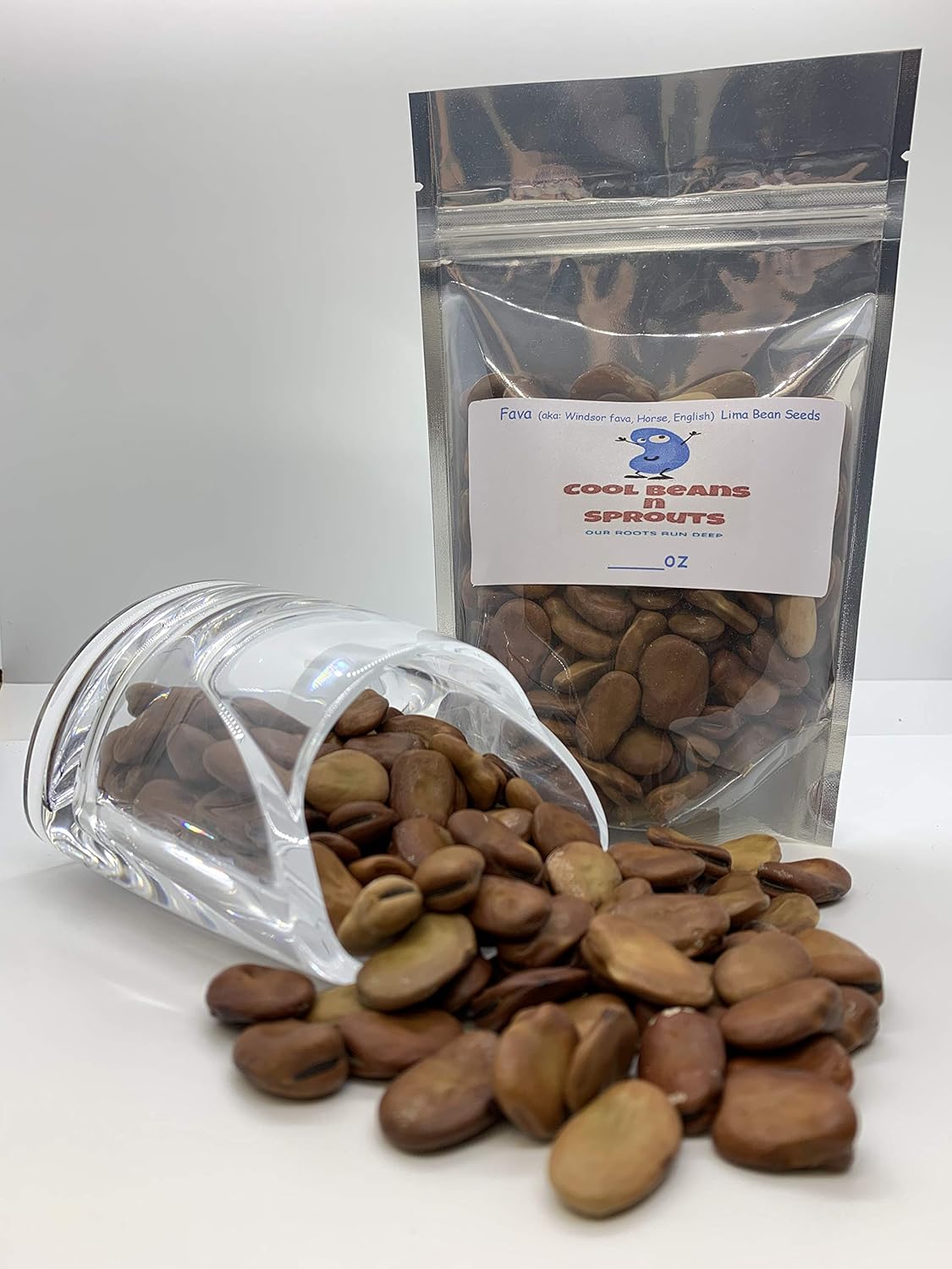Semillas de frijol de caballo (también conocidas como semillas de frijol Fava) sin OMG, aproximadamente 20-25 semillas por paquete, frijol carnoso