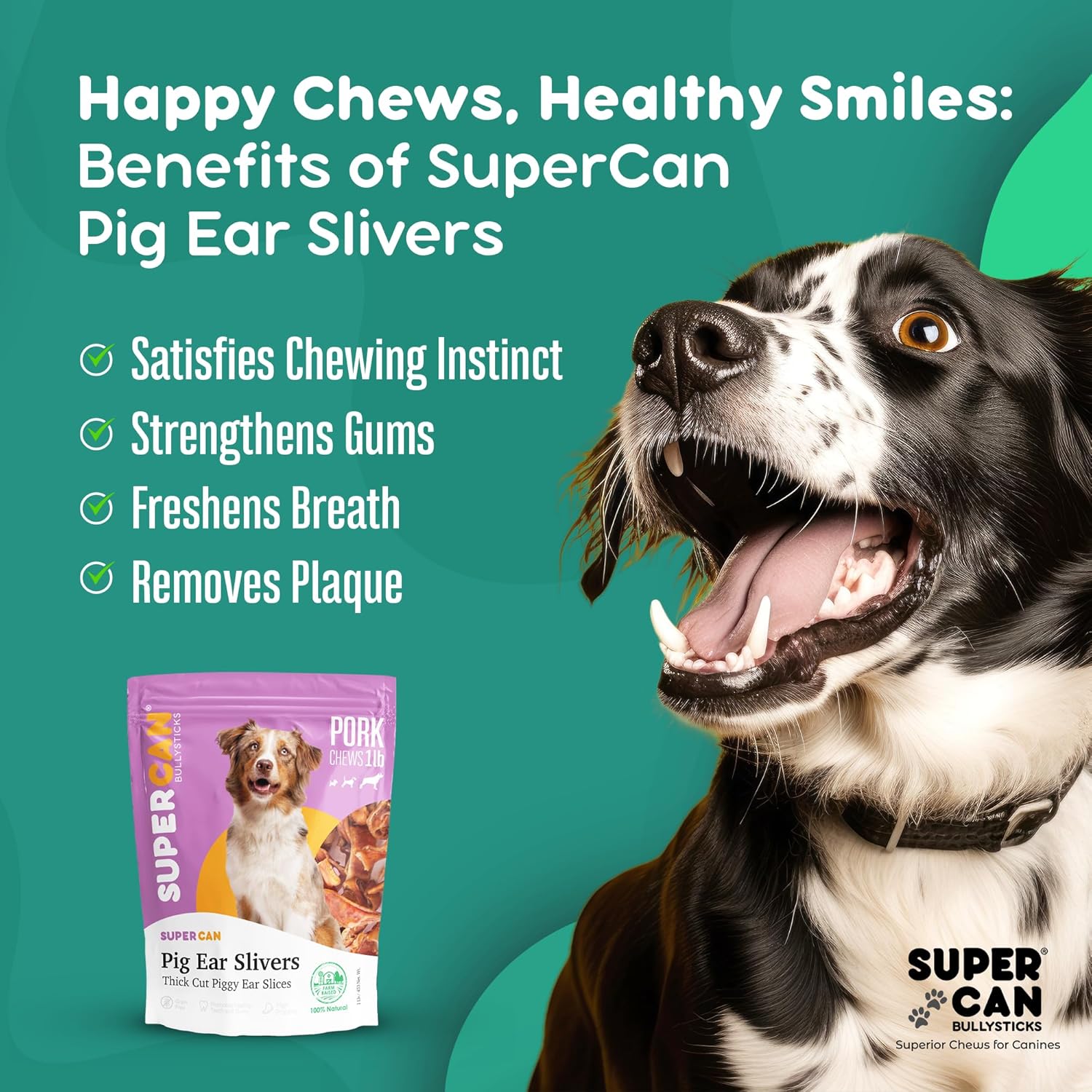 SUPER CAN BULLYSTICKS Supercan – Orejas de cerdo para perros (1 libra), golosinas naturales para perros, golosinas saludables para perros, astillas