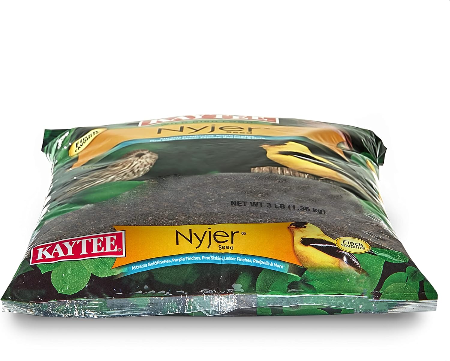 Kaytee Nyjer – Semilla de comida para pájaros silvestres, 3 libras