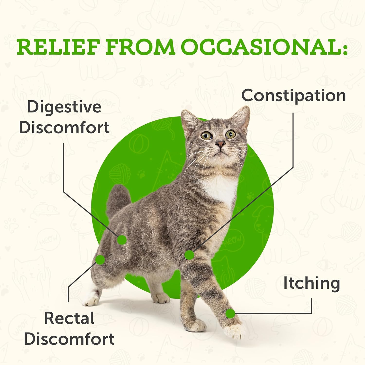 Animal Essentials Polvo de rescate de colon ayuda digestiva a base de hierbas para perros y gatos, 1 onza  Hecho en Estados Unidos GI Support