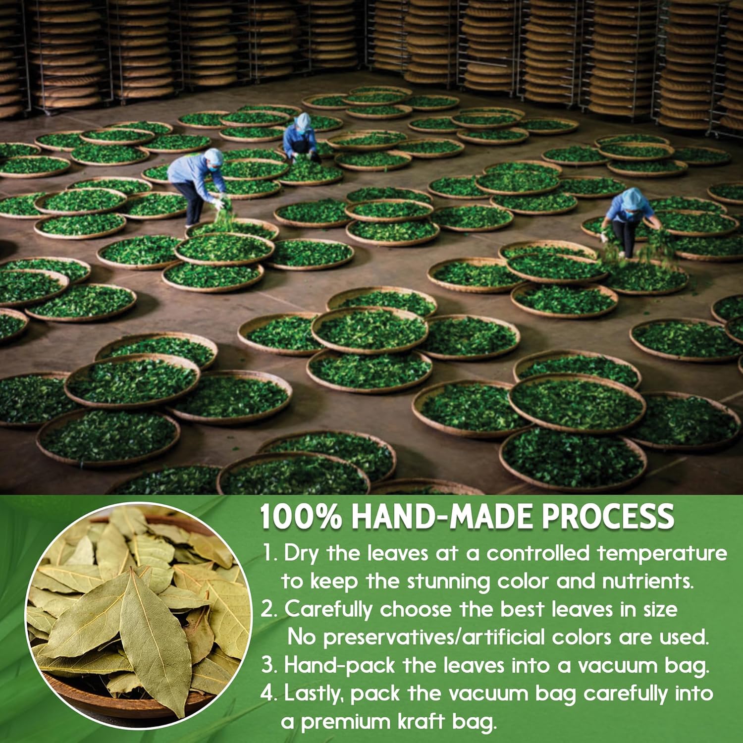 Más de 200 hojas de laurel secas de alta calidad, té de hoja de laurel, especias de hojas de laurel, hojas enteras agradables, elaboradas en el