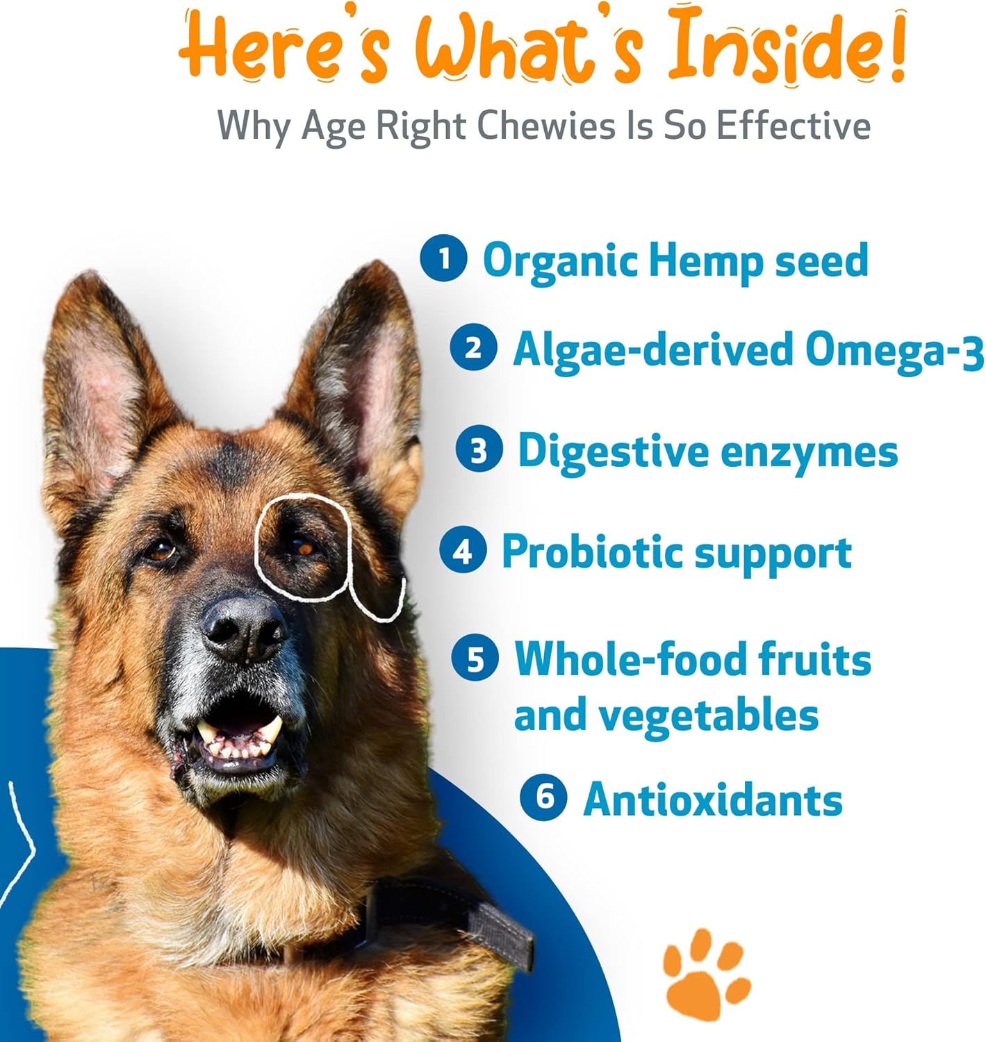 Pet Wellbeing Age Right – Masticables para perros en sus mejores y mayores años – Formulados por veterinarios – Soporte multifuncional diario para