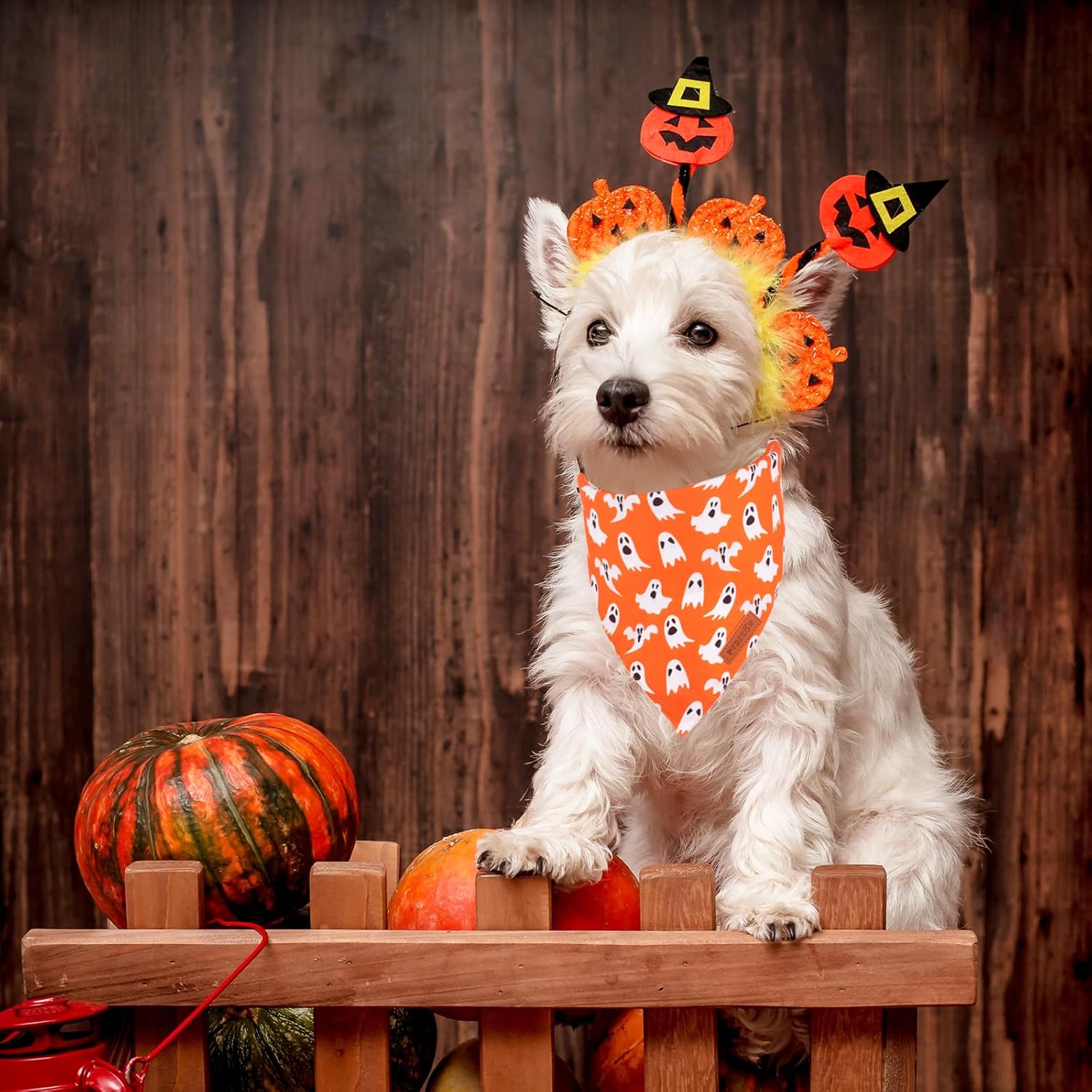 Bandana de Halloween para perro, bufanda reversible para cachorros, varios tamaños ofrecidos, bandanas triangulares de Halloween para perros